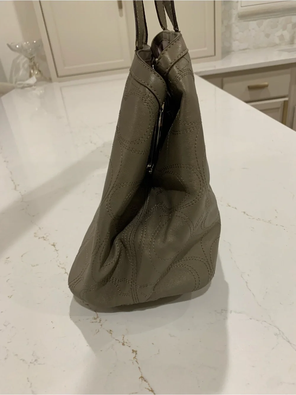 Coach Olive-Taupe Signature Shoulder Leather Tote Bag